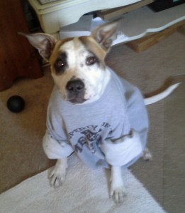 Really?!? This is ruining my image as a tough chick.