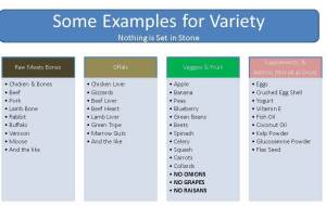 Examples of Raw food Types...Not All Inclusive  - click to enlarge -