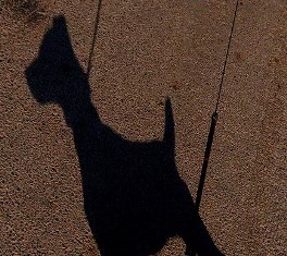 Courtesy Image: Johnny Jet