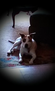 Looks pretty mean to me.