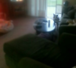 Caught in the act - what to do now?