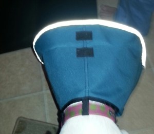 The Velcro n top of the cone. It is used to keep things in place when you fold it back