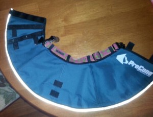 I opted to use Phoebe's regular collar