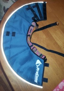 Pro Collar - either put the Velcro strap through the loops or use your own collar.