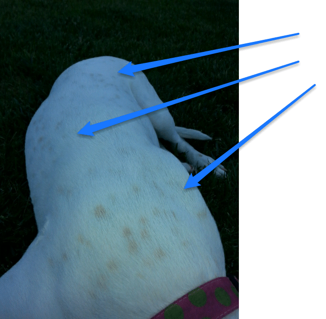 You have to admit...it does look like a coffee spill.