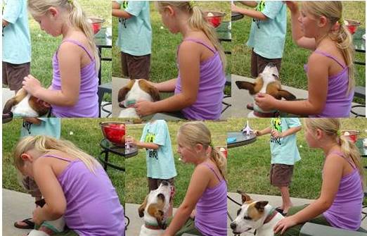 New Microsoft PowerPoint Presentation