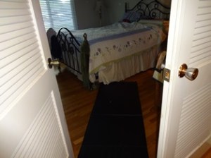 The fold-up mat works perfect as a runway. Phoebe gets to take a running leap on and off the bed without slamming directly onto hard wood.