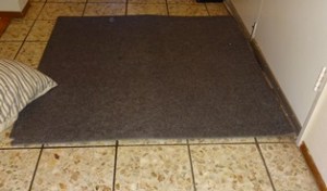 Exercise Mat as a Rug It looks just like an entryway rug, without the fancy designs.